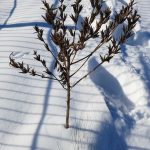 Winterpracht 2021 (35)