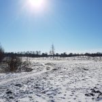 Winterpracht 2021 (37)