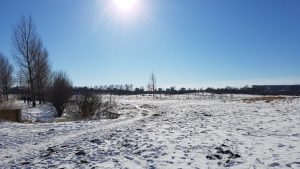 Winterpracht 2021 (37)