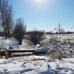 Winterpracht 2021 (38)