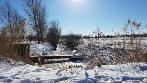 Winterpracht 2021 (38)