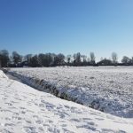 Winterpracht 2021 (4)