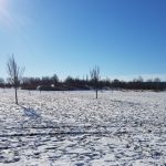 Winterpracht 2021 (40)