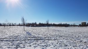 Winterpracht 2021 (40)