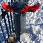 Winterpracht 2021 (44)