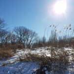Winterpracht 2021 (46)