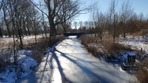 Winterpracht 2021 (49)