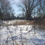 Winterpracht 2021 (51)