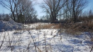 Winterpracht 2021 (51)