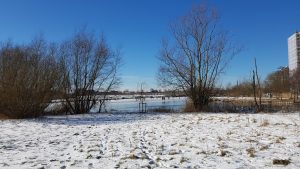 Winterpracht 2021 (53)