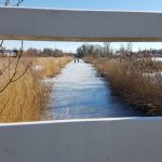 Winterpracht 2021 (54)