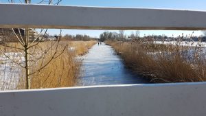 Winterpracht 2021 (54)