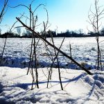 Winterpracht 2021 (56)