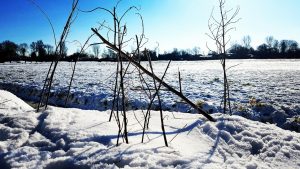 Winterpracht 2021 (56)