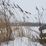 Winterpracht 2021 (61)