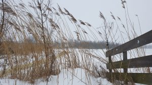 Winterpracht 2021 (61)