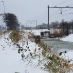 Winterpracht 2021 (65)