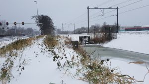 Winterpracht 2021 (65)