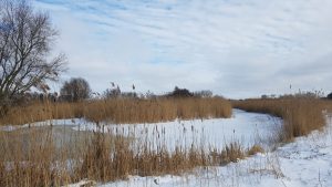 Winterpracht 2021 (67)