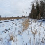Winterpracht 2021 (68)