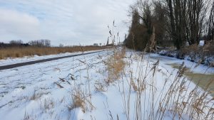 Winterpracht 2021 (68)