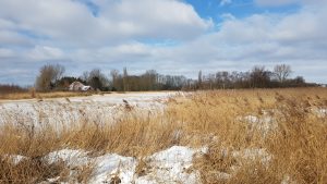 Winterpracht 2021 (71)