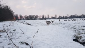 Winterpracht 2021 (9)
