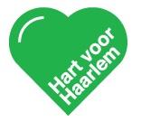 Betaald parkeren in jullie wijk en straks in heel Haarlem?