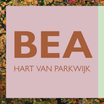TERUGBLIK INFO AVOND BEA-Park