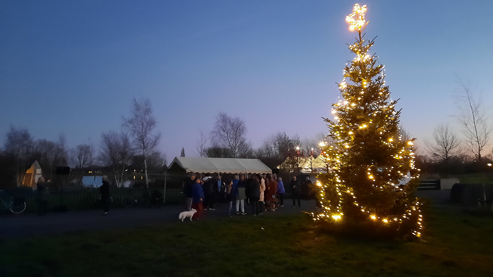 Kerstboom in Reinaldapark